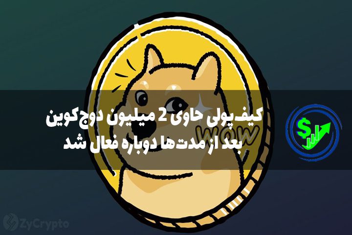 کیف‌پولی حاوی ۲ میلیون دوج‌کوین بعد از مدت‌ها دوباره فعال شد