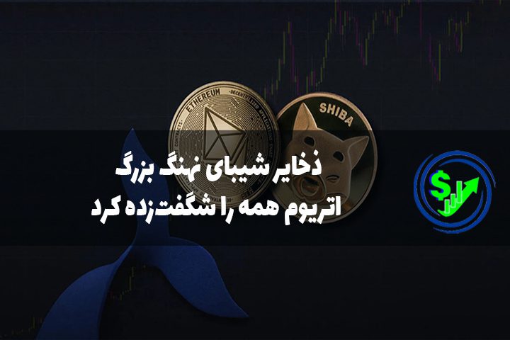 ذخایر شیبای نهنگ بزرگ اتریوم همه را شگفت‌زده کرد