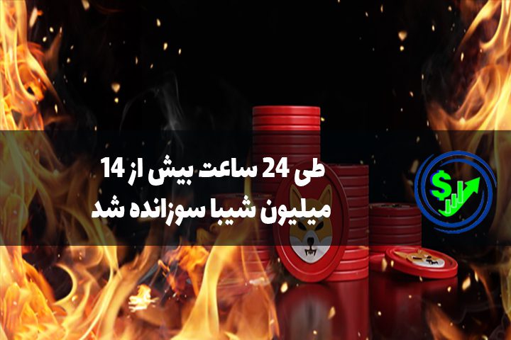 طی 24 ساعت بیش از 14 میلیون شیبا سوزانده شد