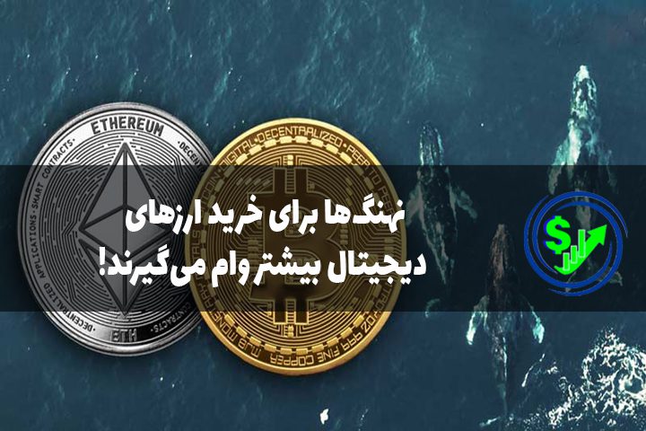 نهنگ‌ها برای خرید ارزهای دیجیتال بیشتر وام می‌گیرند!