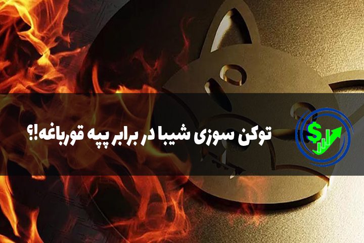 توکن سوزی شیبا در برابر پپه قورباغه!؟