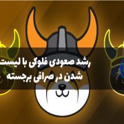 رشد 12 درصدی فلوکی با لیست شدن در صرافی برجسته