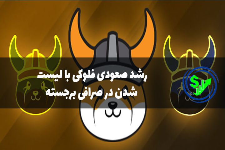 رشد صعودی فلوکی با لیست شدن در صرافی برجسته