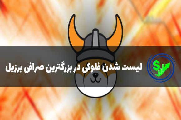 لیست شدن فلوکی در بزرگترین صرافی برزیل