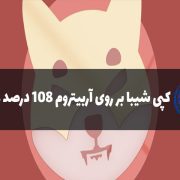 کپی شیبا بر روی آربیتروم رشد کرد