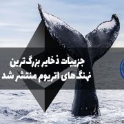 منتشر شدن جزییات ذخایر بزرگ‌ترین نهنگ‌های اتریوم