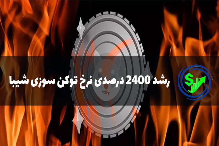 رشد 2400 درصدی نرخ توکن سوزی شیبا