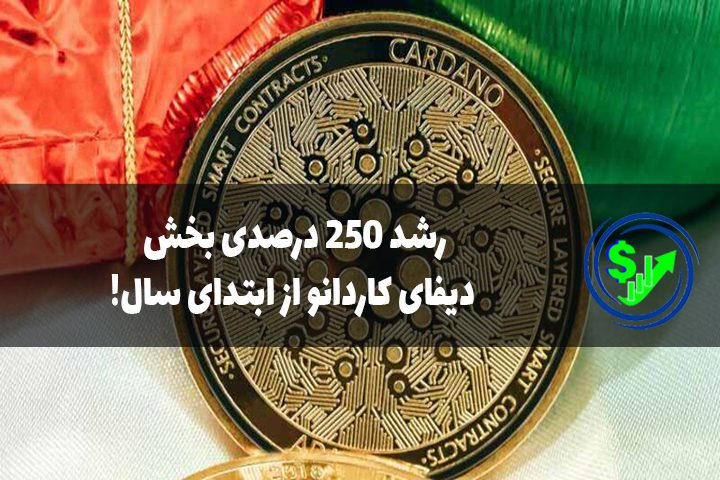 رشد ۲۵۰ درصدی بخش دیفای کاردانو از ابتدای سال!