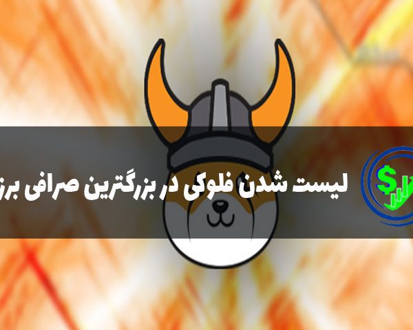لیست شدن فلوکی در صرافی برزیلی